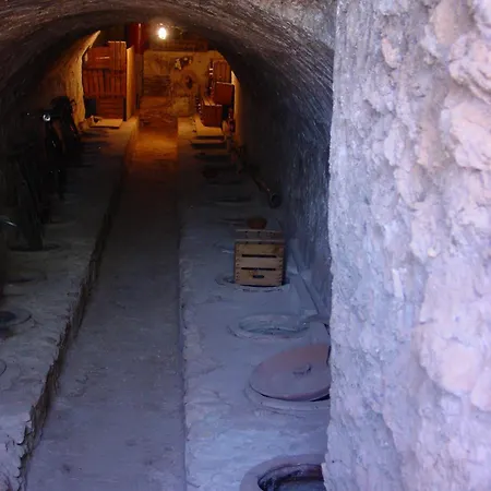 La Bodega Enoturismo Rural منزل ريفي Mogente